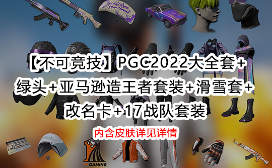 【豪华不可竞技】PGC2022大全套+ 绿头+亚马逊造王者套装+滑雪套+ 改名卡+17战队套装成品号